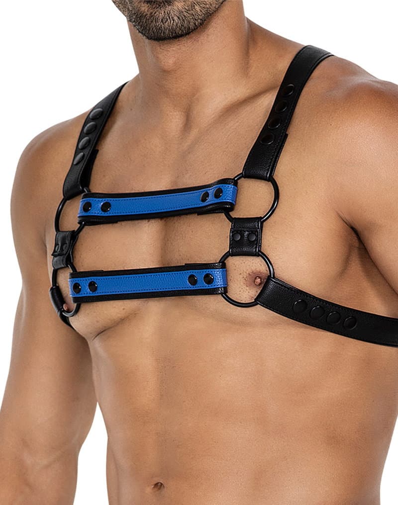 H4RNESS by C4M - 4WAY Harnas - Stralend Blauw 1