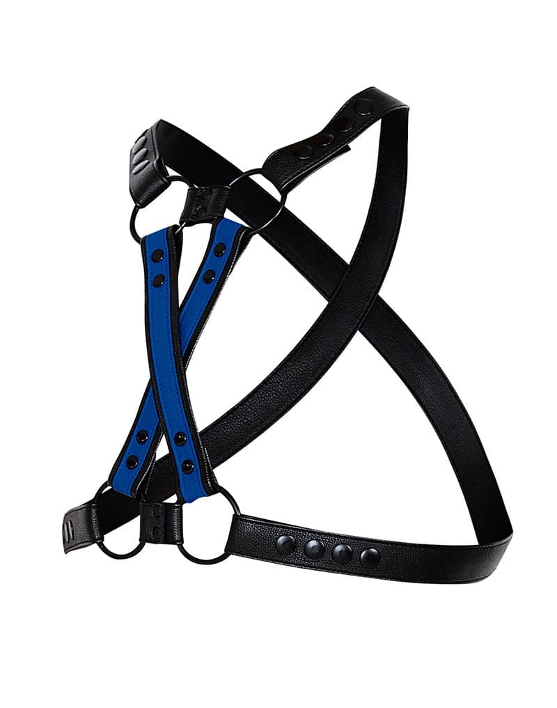H4RNESS by C4M - 4WAY Harnas - Stralend Blauw 10