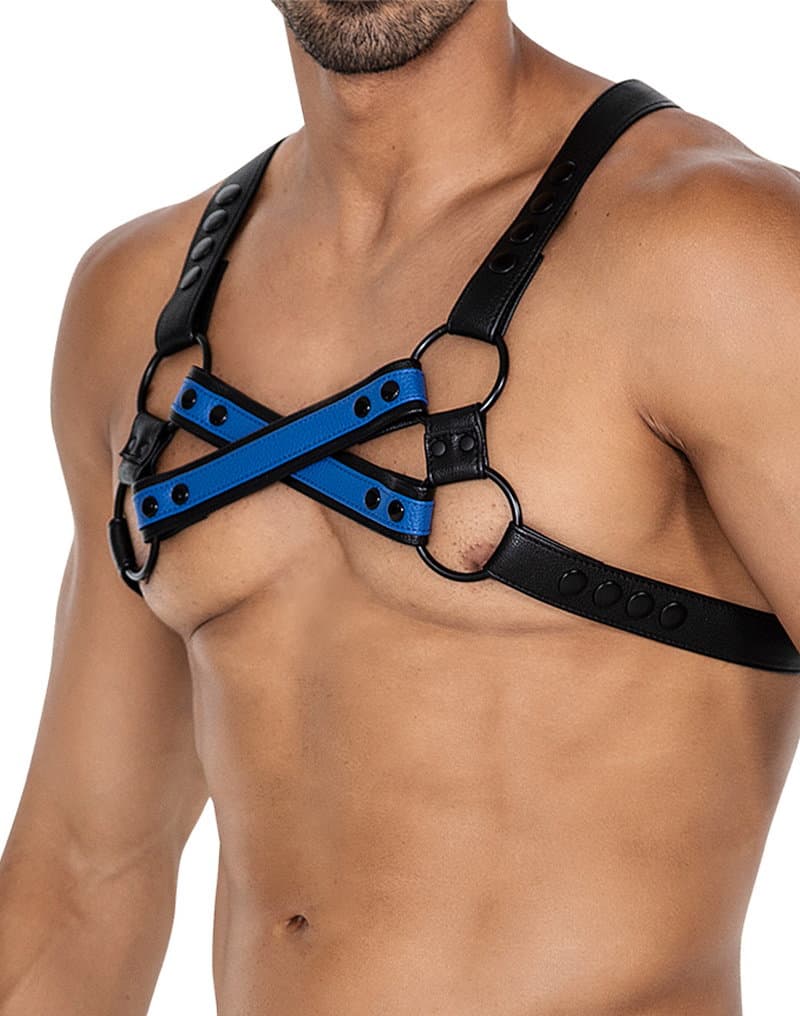 H4RNESS by C4M - 4WAY Harnas - Stralend Blauw 5