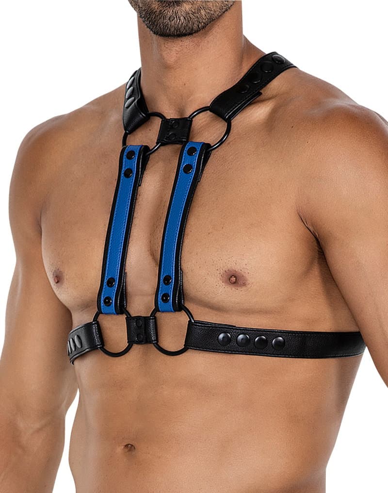 H4RNESS by C4M - 4WAY Harnas - Stralend Blauw 6