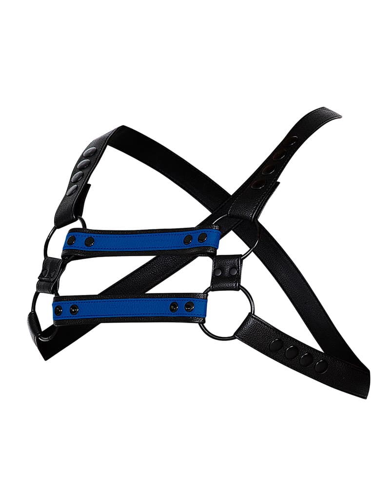 H4RNESS by C4M - 4WAY Harnas - Stralend Blauw 8