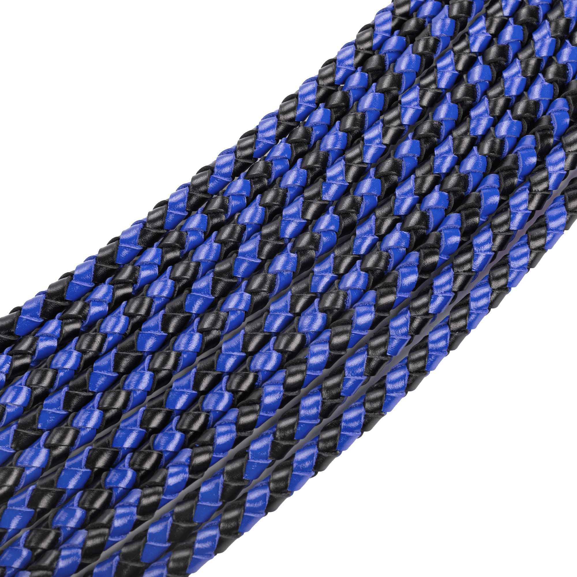 RISE - Heavy Cat O. Nine Whip - Zwart/Blauw 4