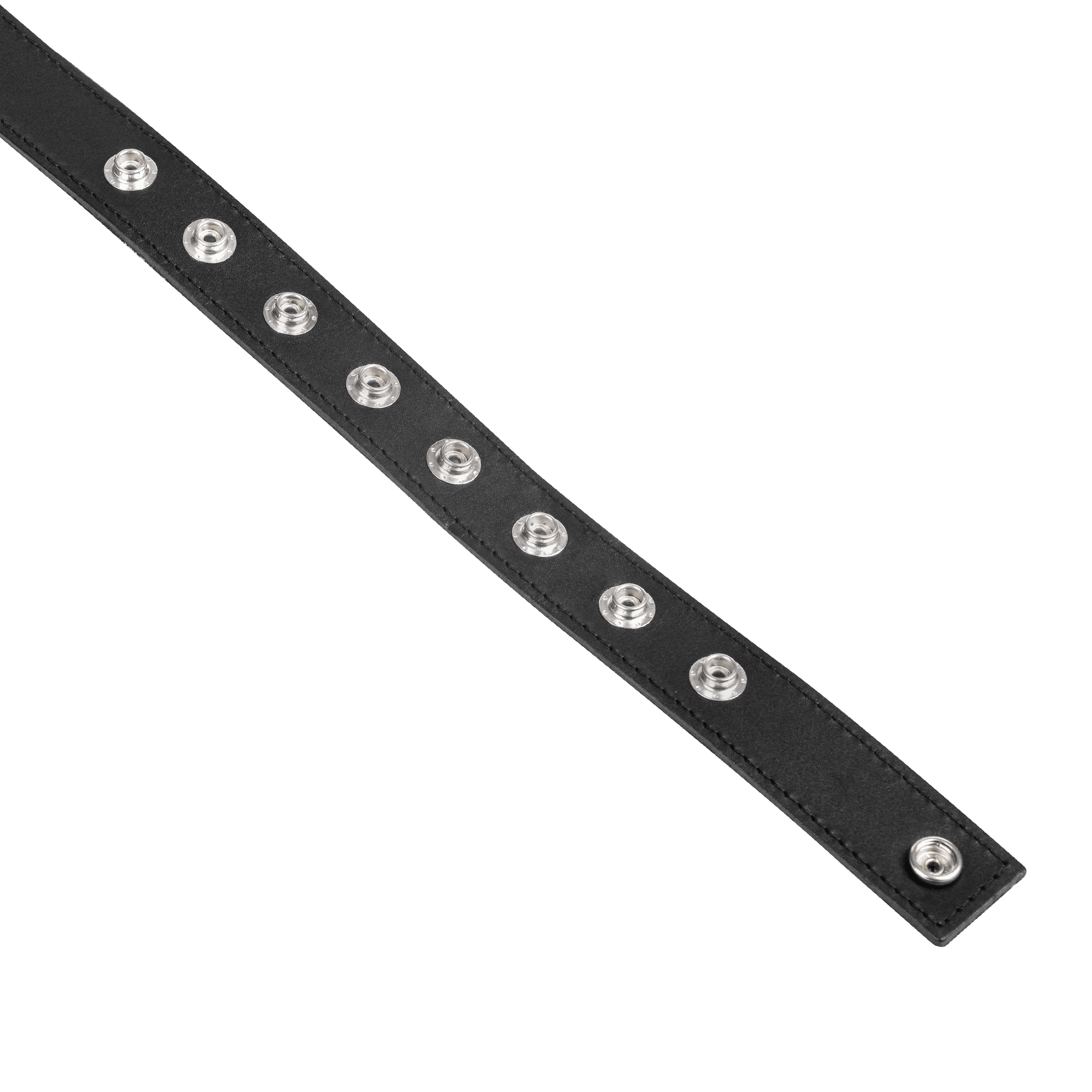 Rimba - Strip string 5