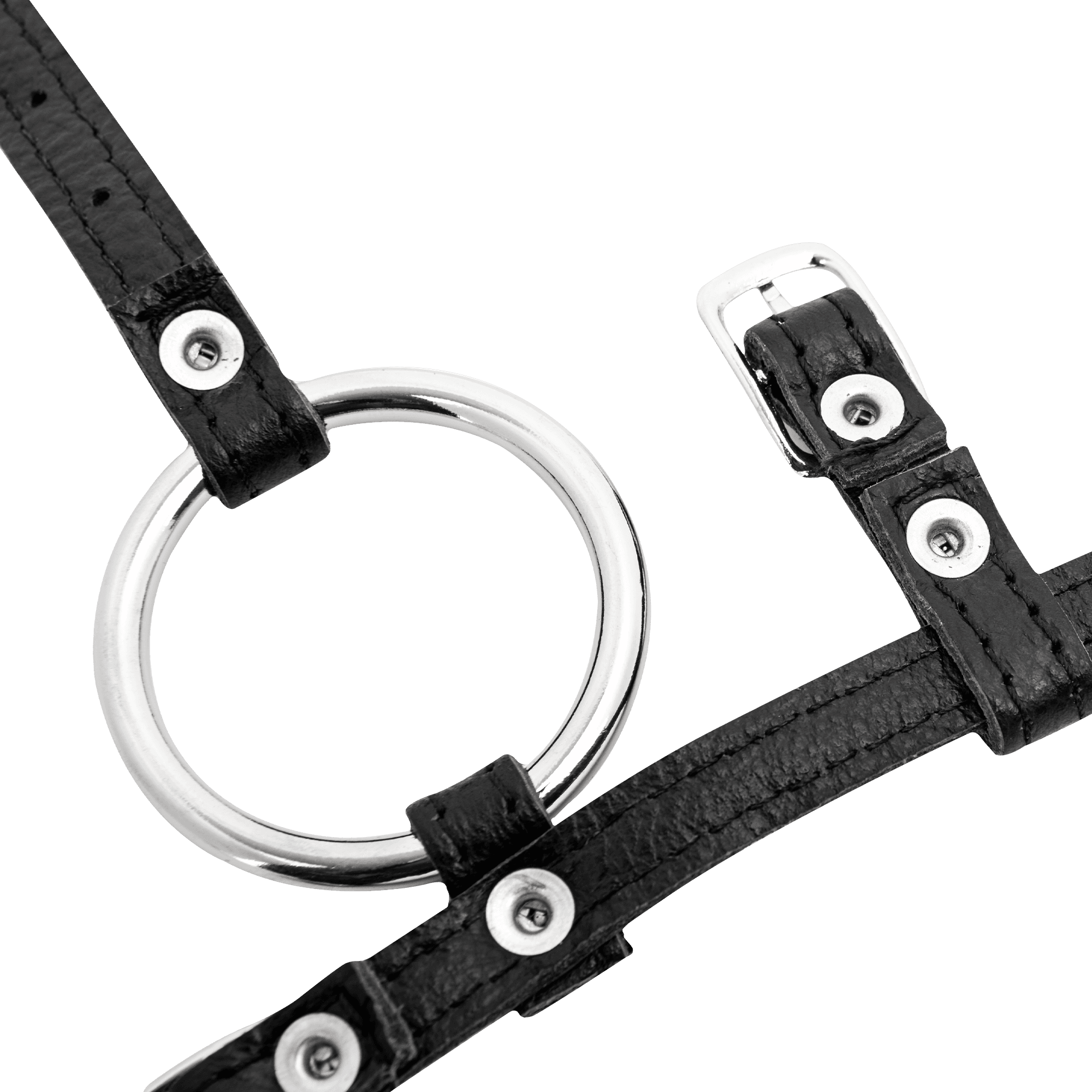 Rimba - Penisartikel met metalen ring (art. 7423.35) 5